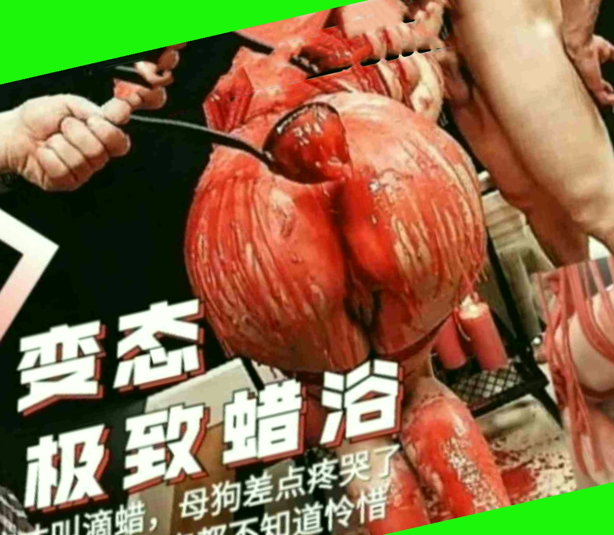 国产精品无码一区二区在线欢,欧美日韩精品一区二区色