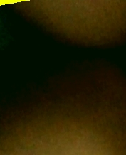 日本高清在线www3344私人影院,超碰在线cao